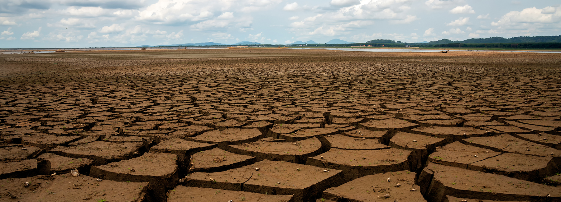 IEEE-Header-Dry-cracks-in-the-land-2025-1800x650
